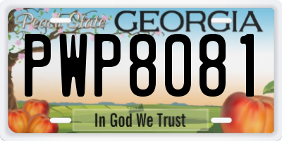 GA license plate PWP8081
