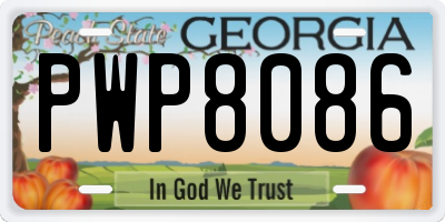 GA license plate PWP8086