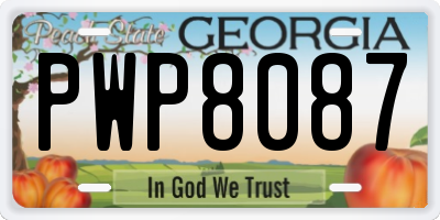 GA license plate PWP8087