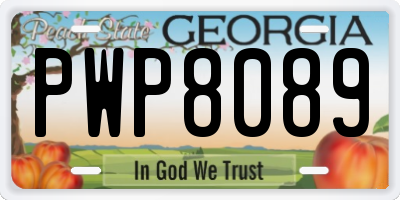 GA license plate PWP8089