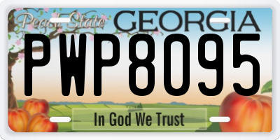 GA license plate PWP8095