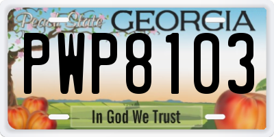 GA license plate PWP8103