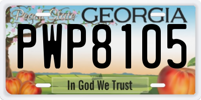 GA license plate PWP8105