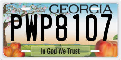 GA license plate PWP8107