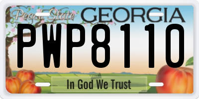 GA license plate PWP8110