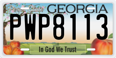 GA license plate PWP8113