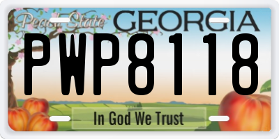 GA license plate PWP8118