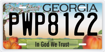 GA license plate PWP8122
