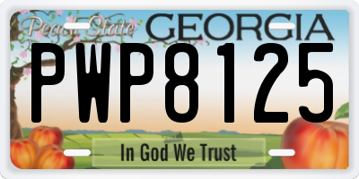 GA license plate PWP8125