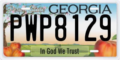 GA license plate PWP8129