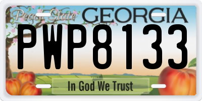 GA license plate PWP8133