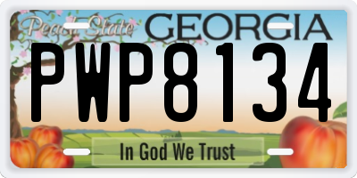 GA license plate PWP8134