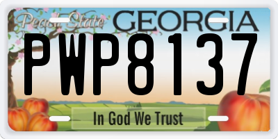 GA license plate PWP8137