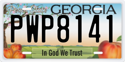 GA license plate PWP8141