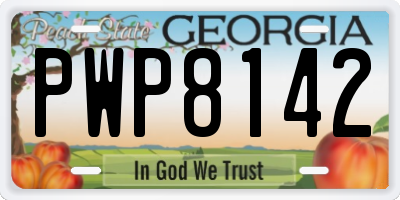 GA license plate PWP8142