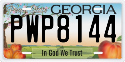 GA license plate PWP8144