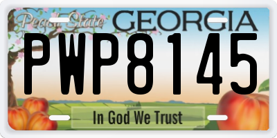 GA license plate PWP8145