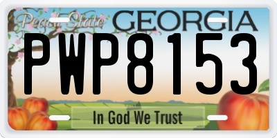 GA license plate PWP8153