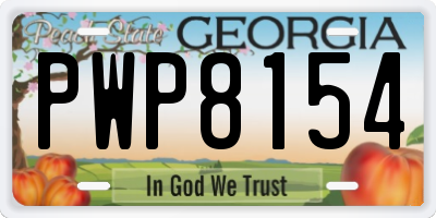 GA license plate PWP8154