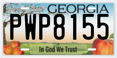 GA license plate PWP8155