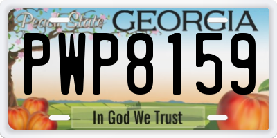 GA license plate PWP8159