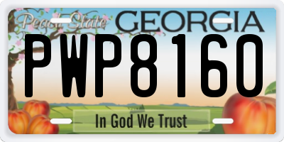 GA license plate PWP8160