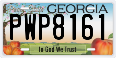 GA license plate PWP8161