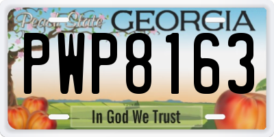 GA license plate PWP8163