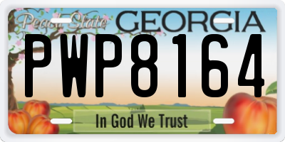 GA license plate PWP8164