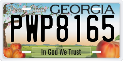 GA license plate PWP8165