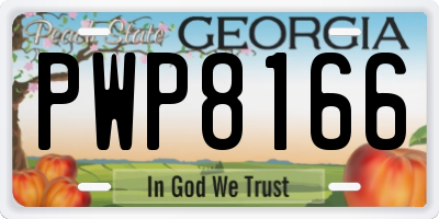 GA license plate PWP8166