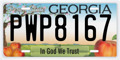 GA license plate PWP8167