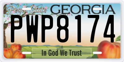 GA license plate PWP8174