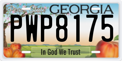 GA license plate PWP8175