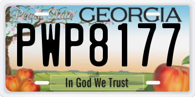 GA license plate PWP8177