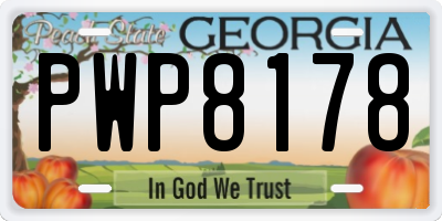 GA license plate PWP8178