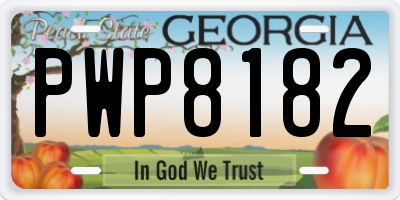 GA license plate PWP8182
