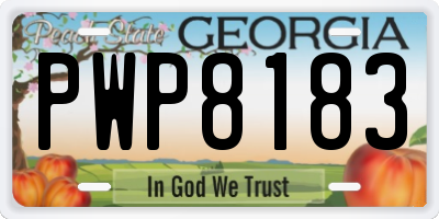 GA license plate PWP8183