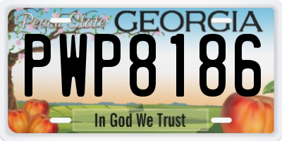 GA license plate PWP8186