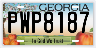 GA license plate PWP8187
