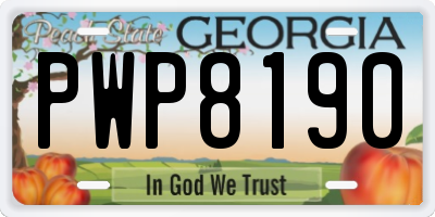 GA license plate PWP8190