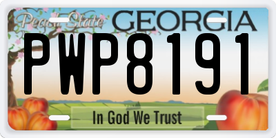 GA license plate PWP8191