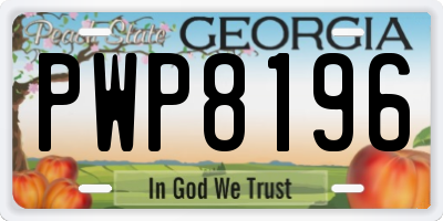 GA license plate PWP8196