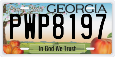 GA license plate PWP8197