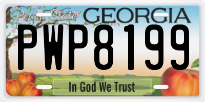 GA license plate PWP8199