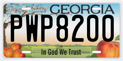 GA license plate PWP8200