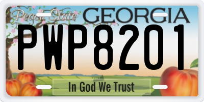 GA license plate PWP8201
