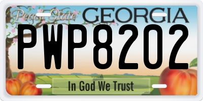 GA license plate PWP8202