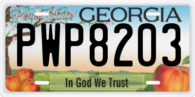 GA license plate PWP8203