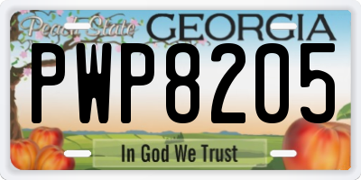 GA license plate PWP8205